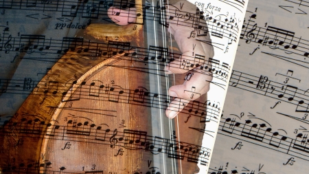 Cello Image 3